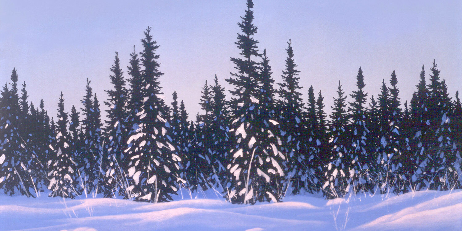 Leyda Campbell – Black Spruce